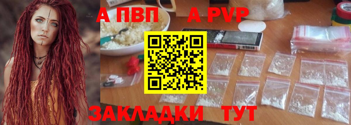 Альфа ПВП СК КРИС Североморск