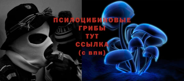 мдма Осташков