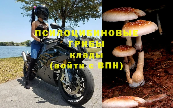 mdpv Осинники