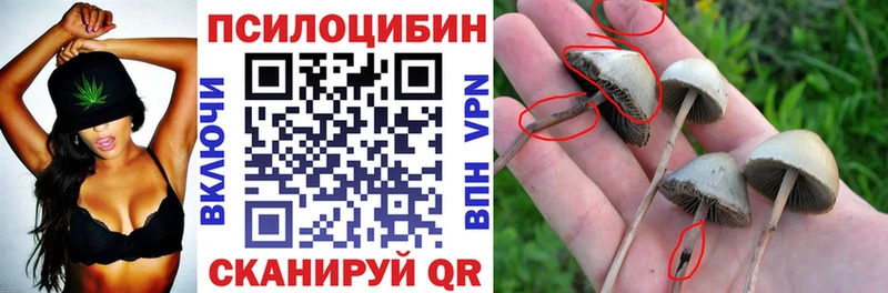 Псилоцибиновые грибы прущие грибы Североморск