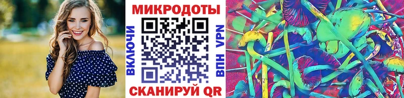 Галлюциногенные грибы Psilocybine cubensis  Североморск 