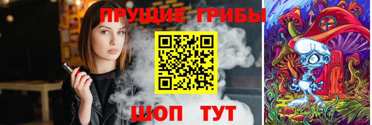 Псилоцибиновые грибы Psilocybe Североморск